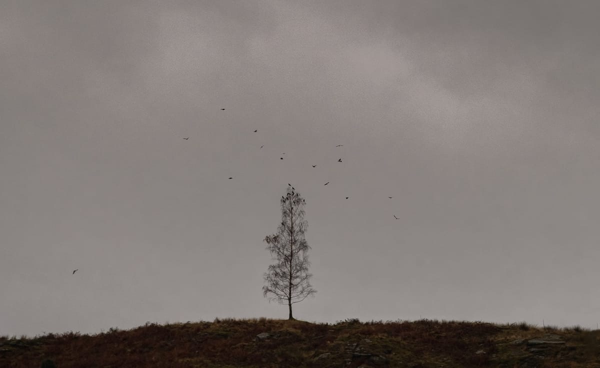 Skriv en minnetale til bedriften din
