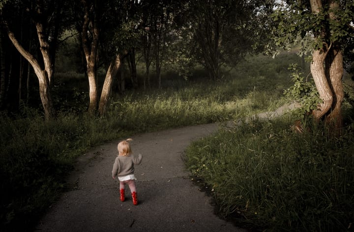 To sommerfugler og en til