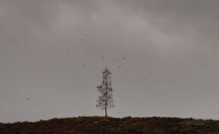 Skriv en minnetale til bedriften din